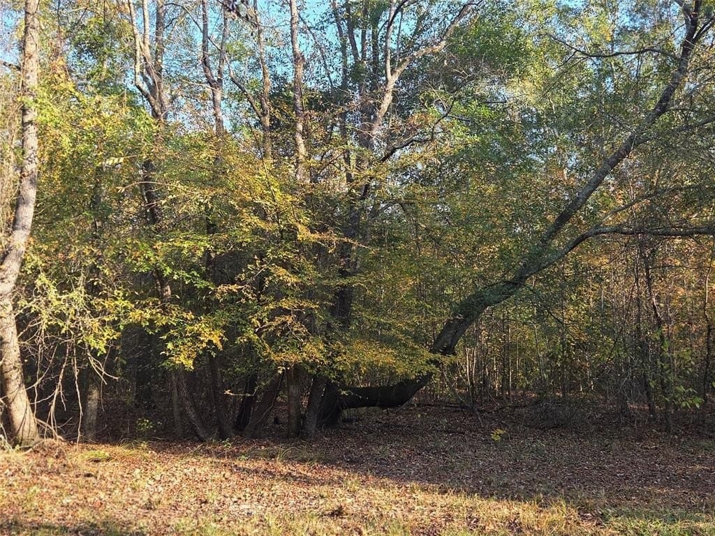 10 acres in Red River County - photo 8