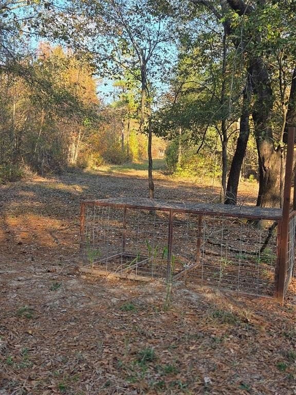 10 acres in Red River County - photo 5