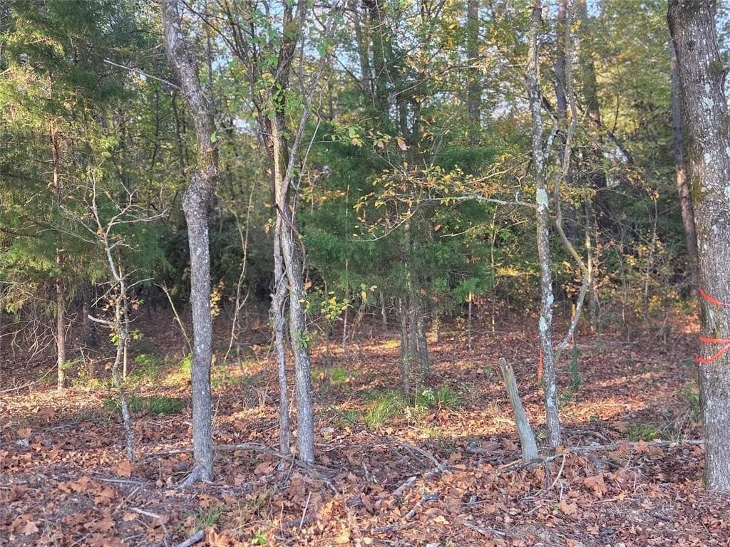 10 acres in Red River County - photo 14