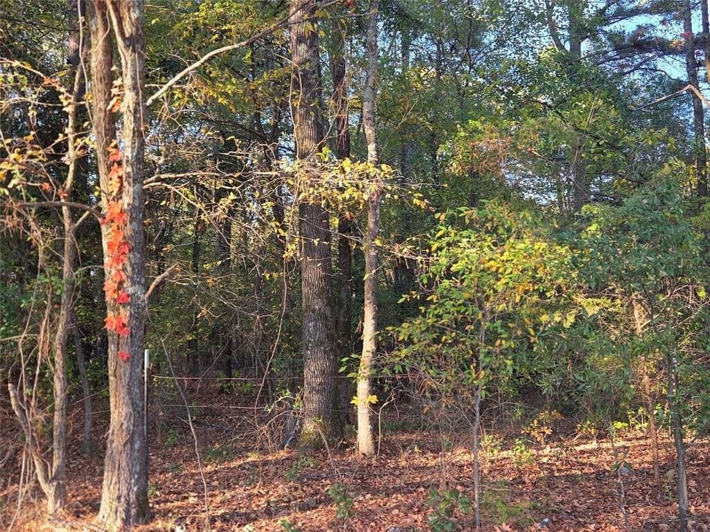 10 acres in Red River County - photo 11