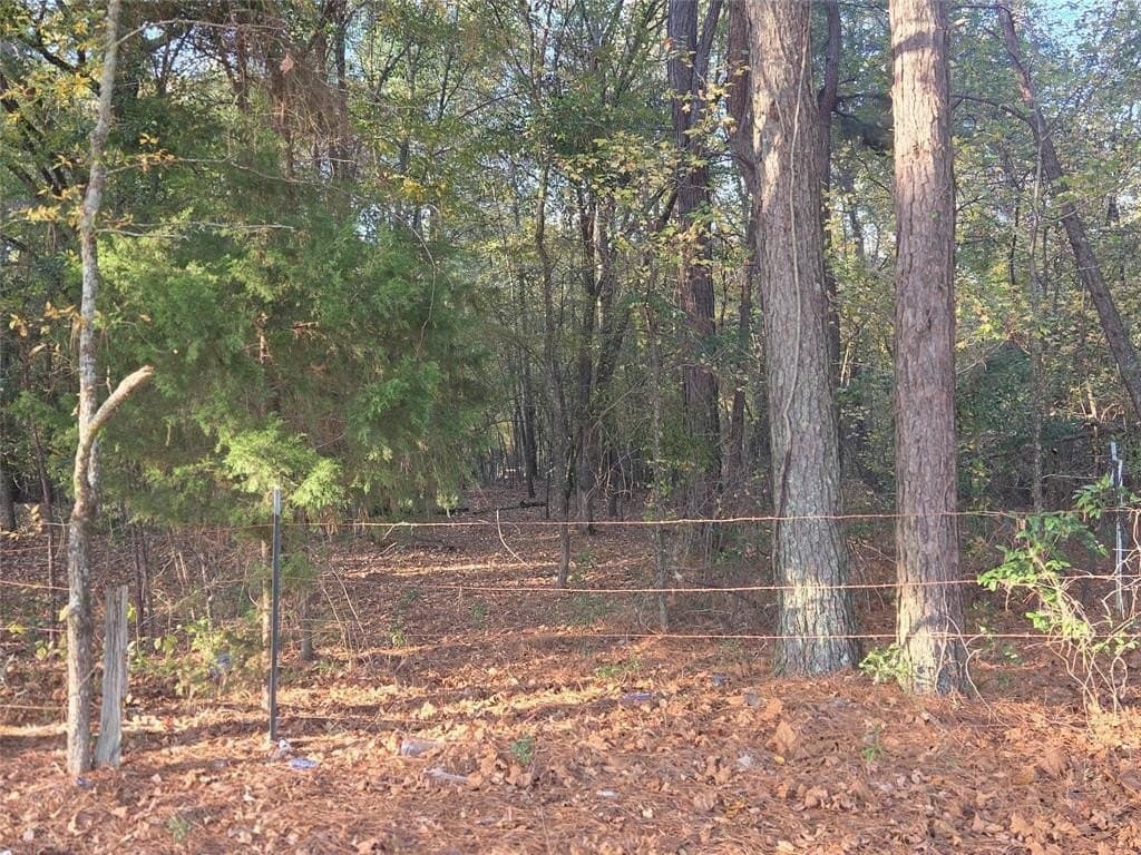 10 acres in Red River County - photo 13
