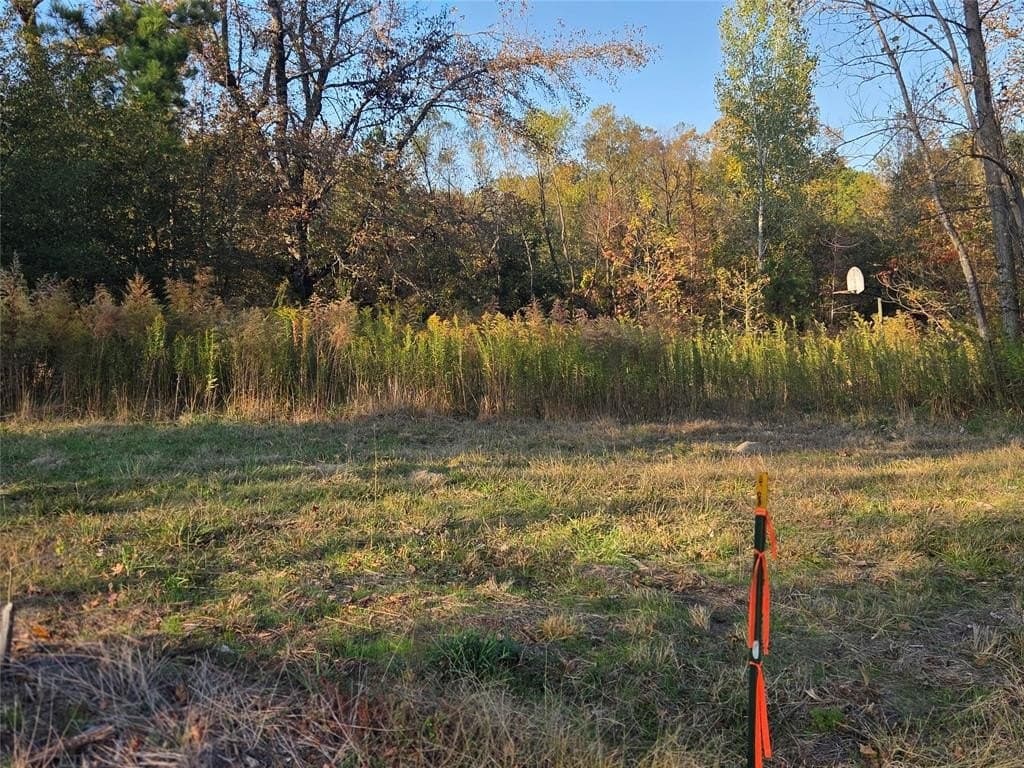 10 acres in Red River County - photo 17