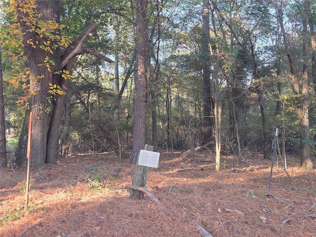 10 acres in Red River County - photo 9