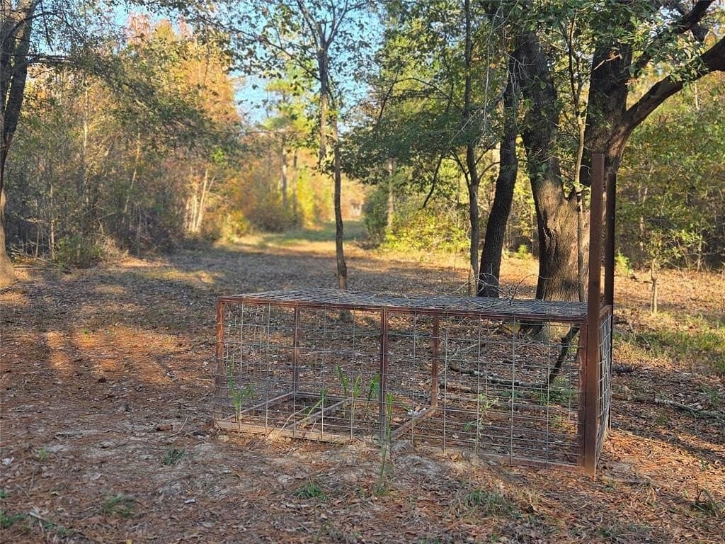 10 acres in Red River County - photo 4