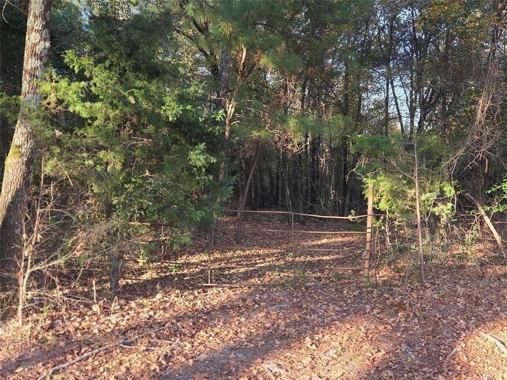 10 acres in Red River County - photo 12