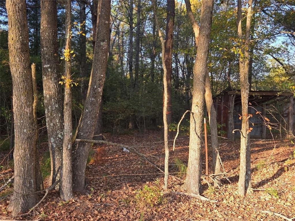 10 acres in Red River County - photo 16
