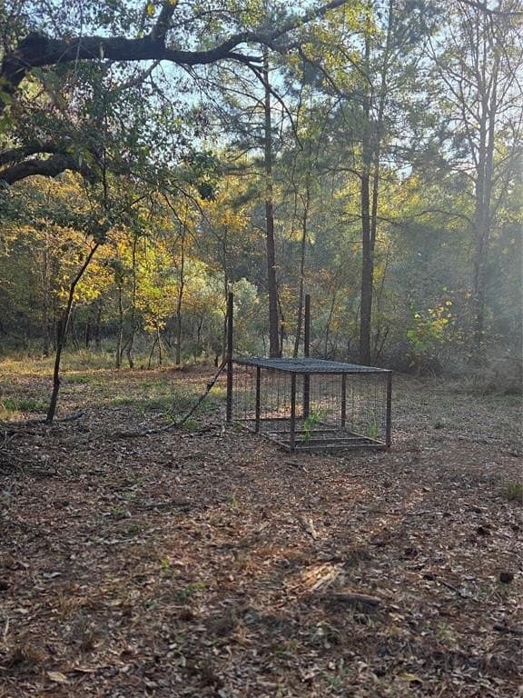 10 acres in Red River County - photo 2