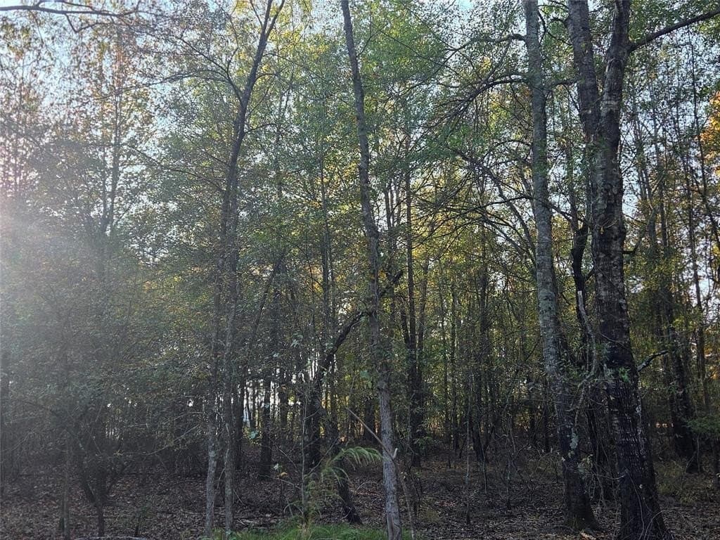 10 acres in Red River County - photo 6