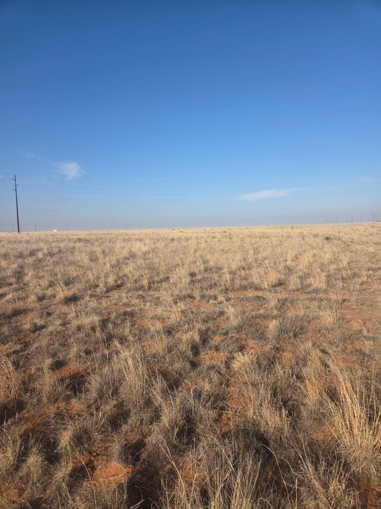 County Rd 390