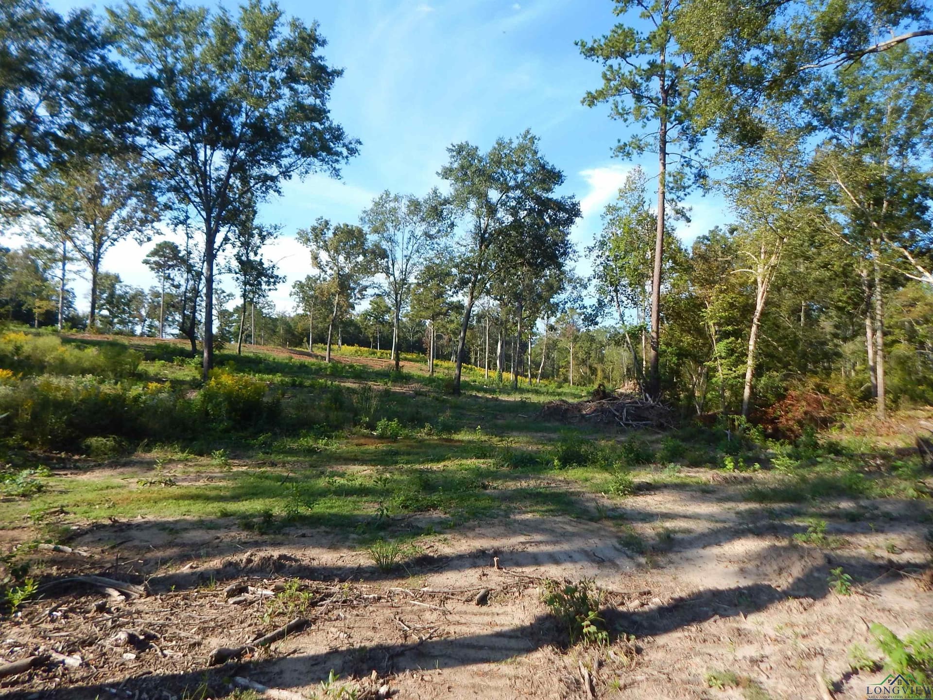 7.57 acres in Upshur County - photo 18