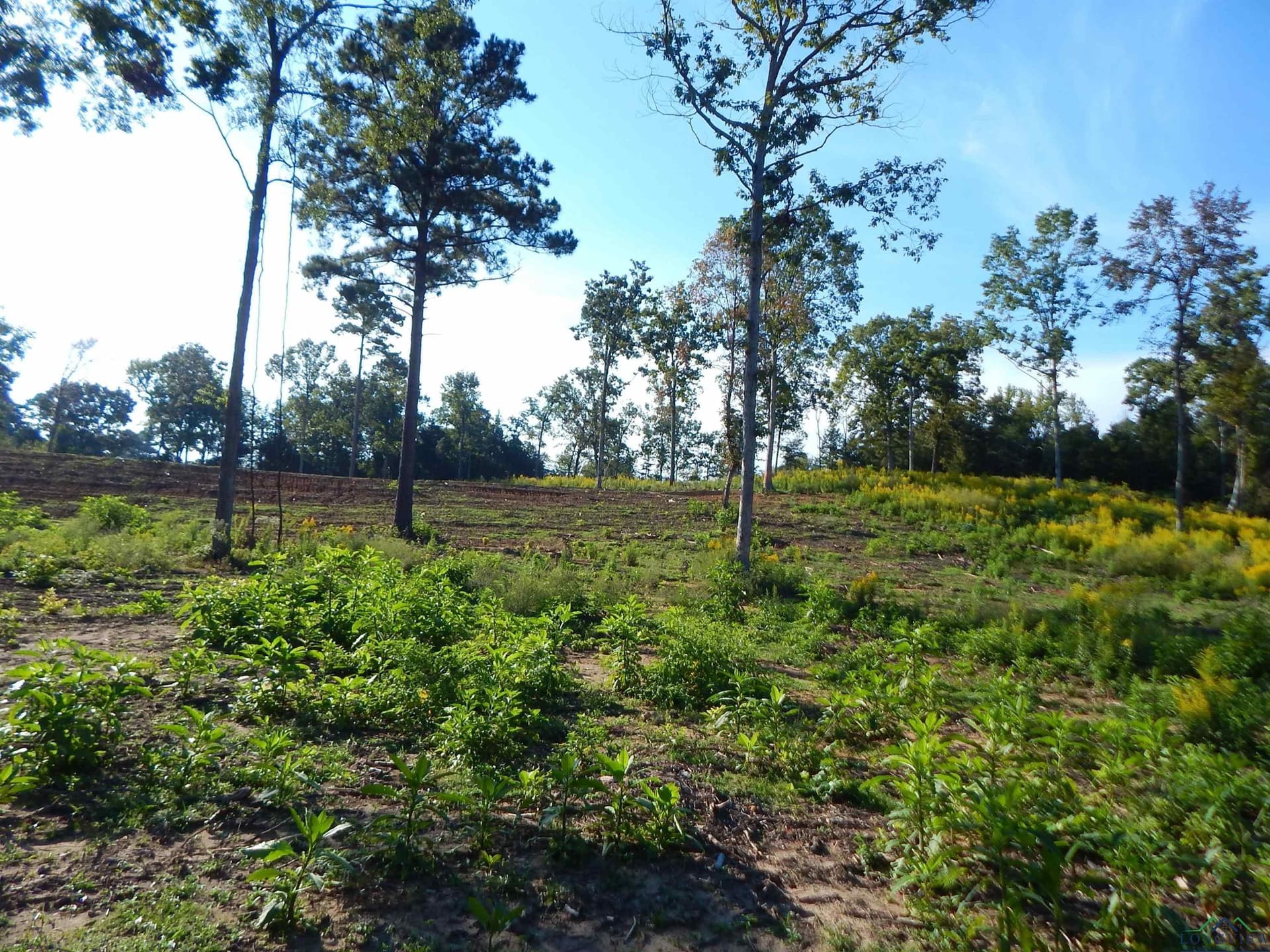 7.57 acres in Upshur County - photo 16