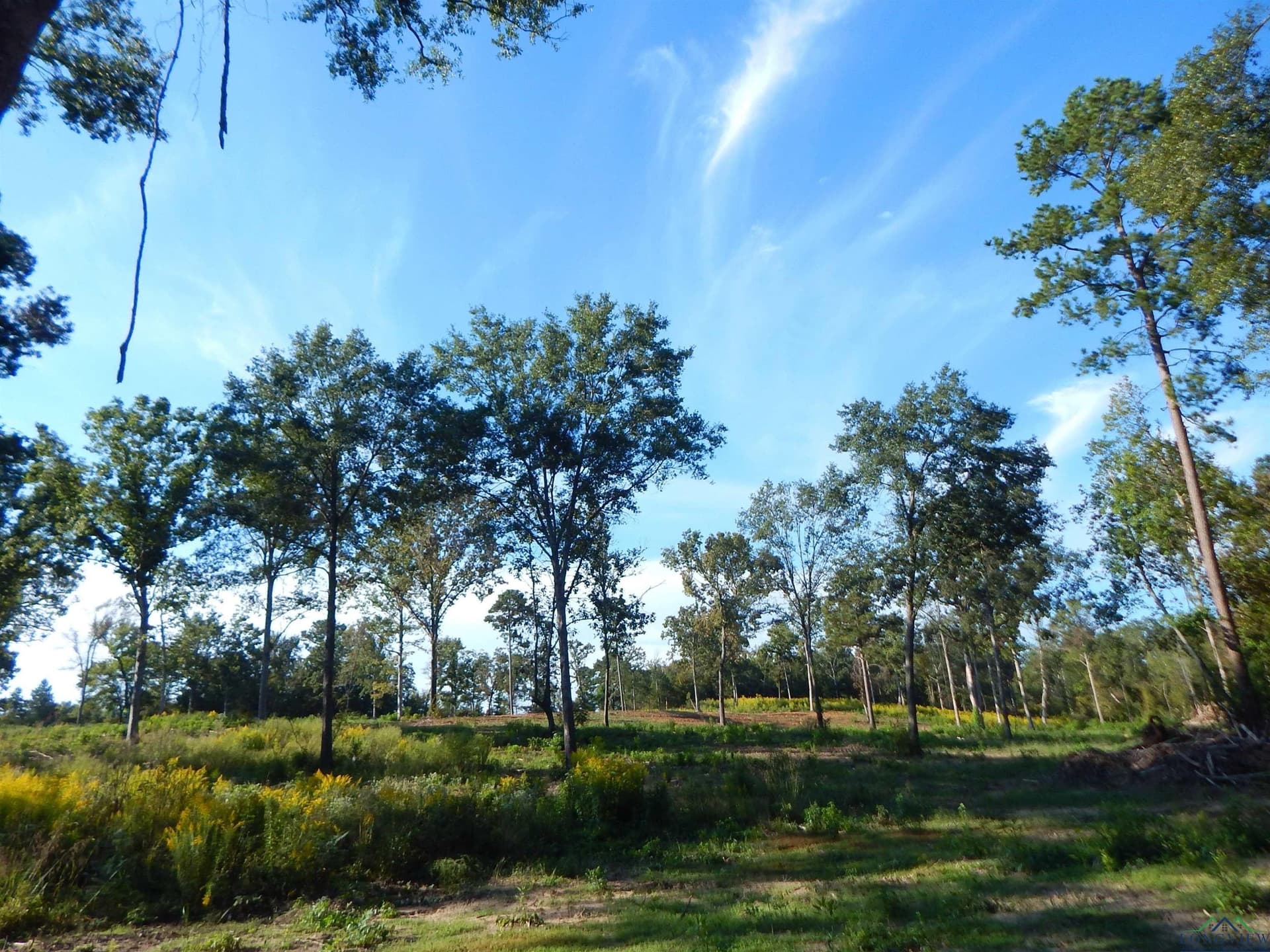 7.57 acres in Upshur County - photo 19