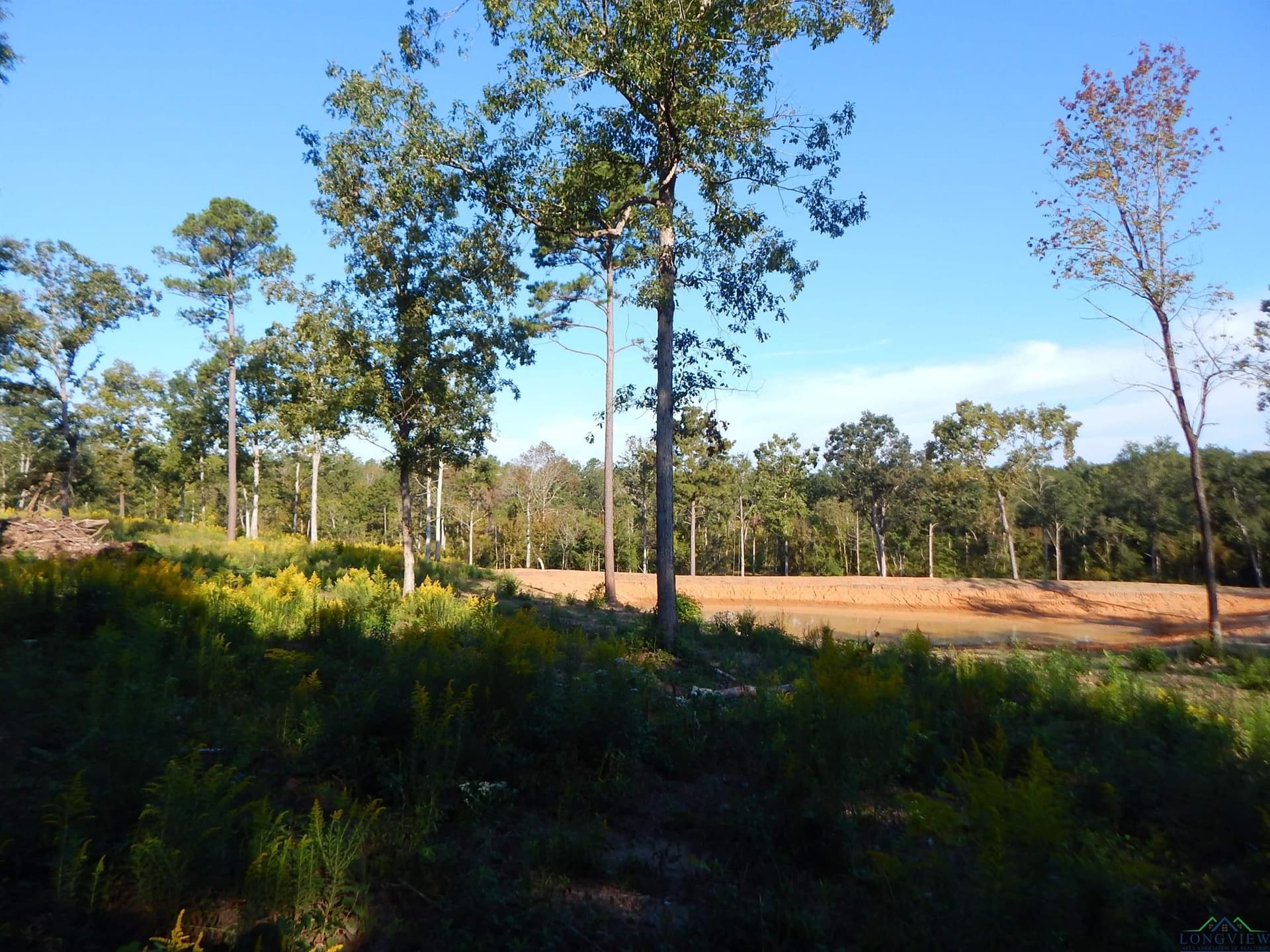 7.57 acres in Upshur County - photo 13