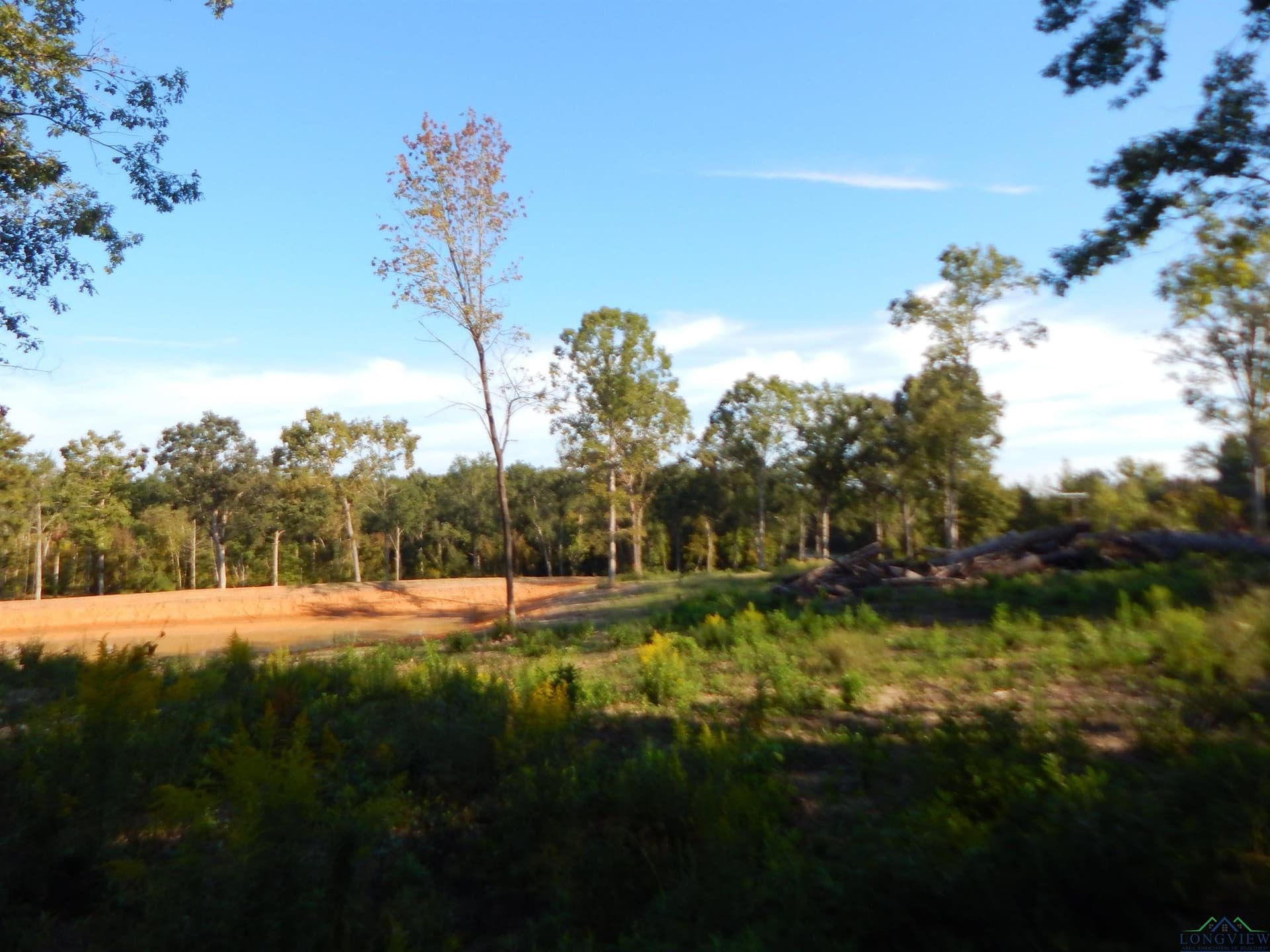 7.57 acres in Upshur County - photo 12