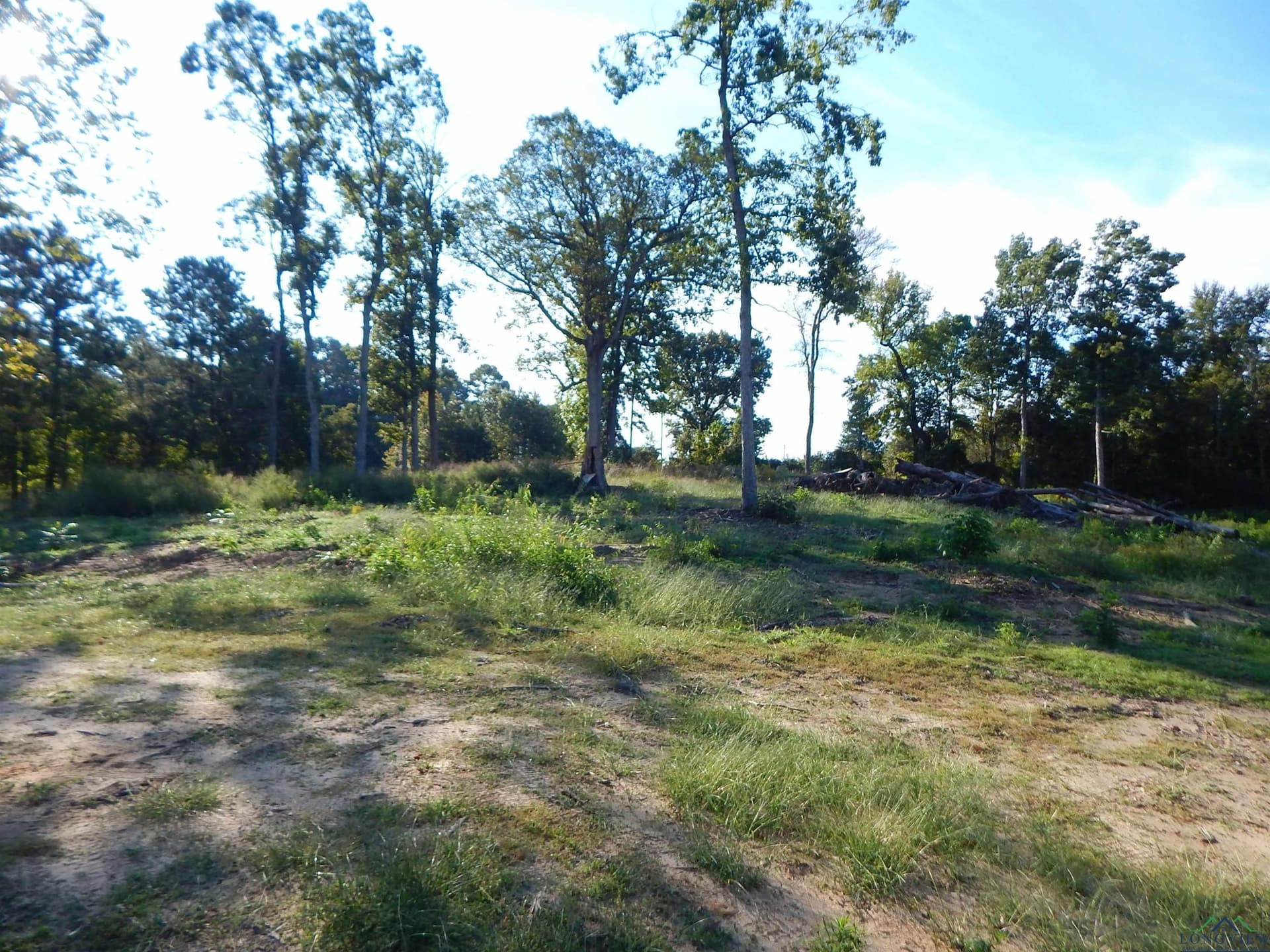7.57 acres in Upshur County - photo 8