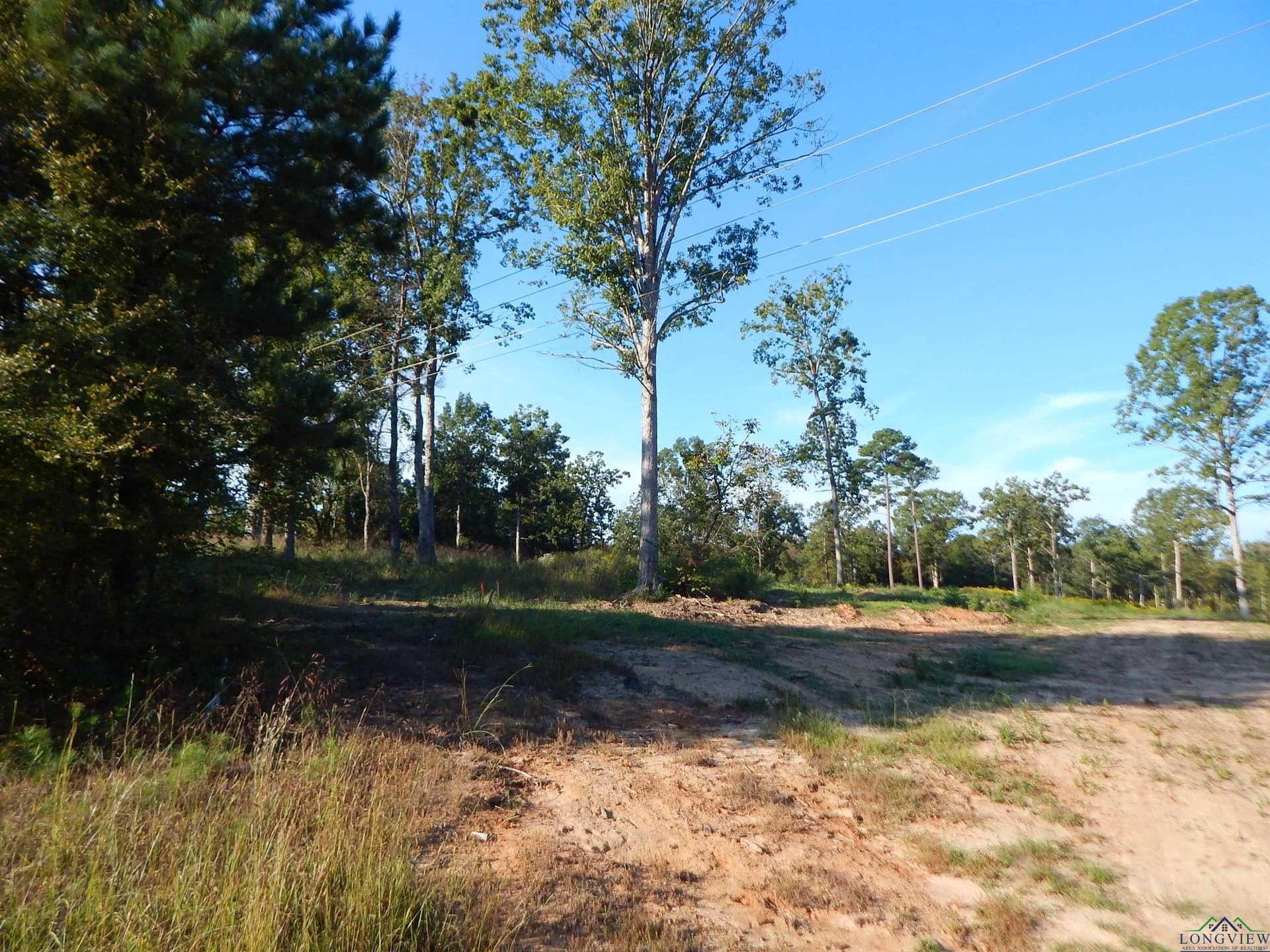 7.57 acres in Upshur County - photo 2