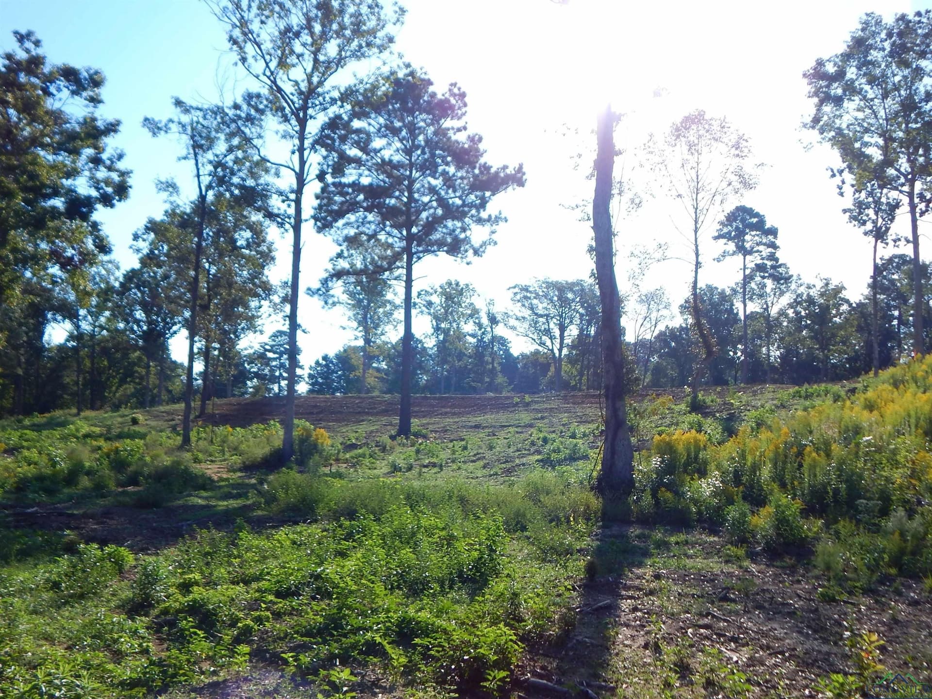 7.57 acres in Upshur County - photo 14
