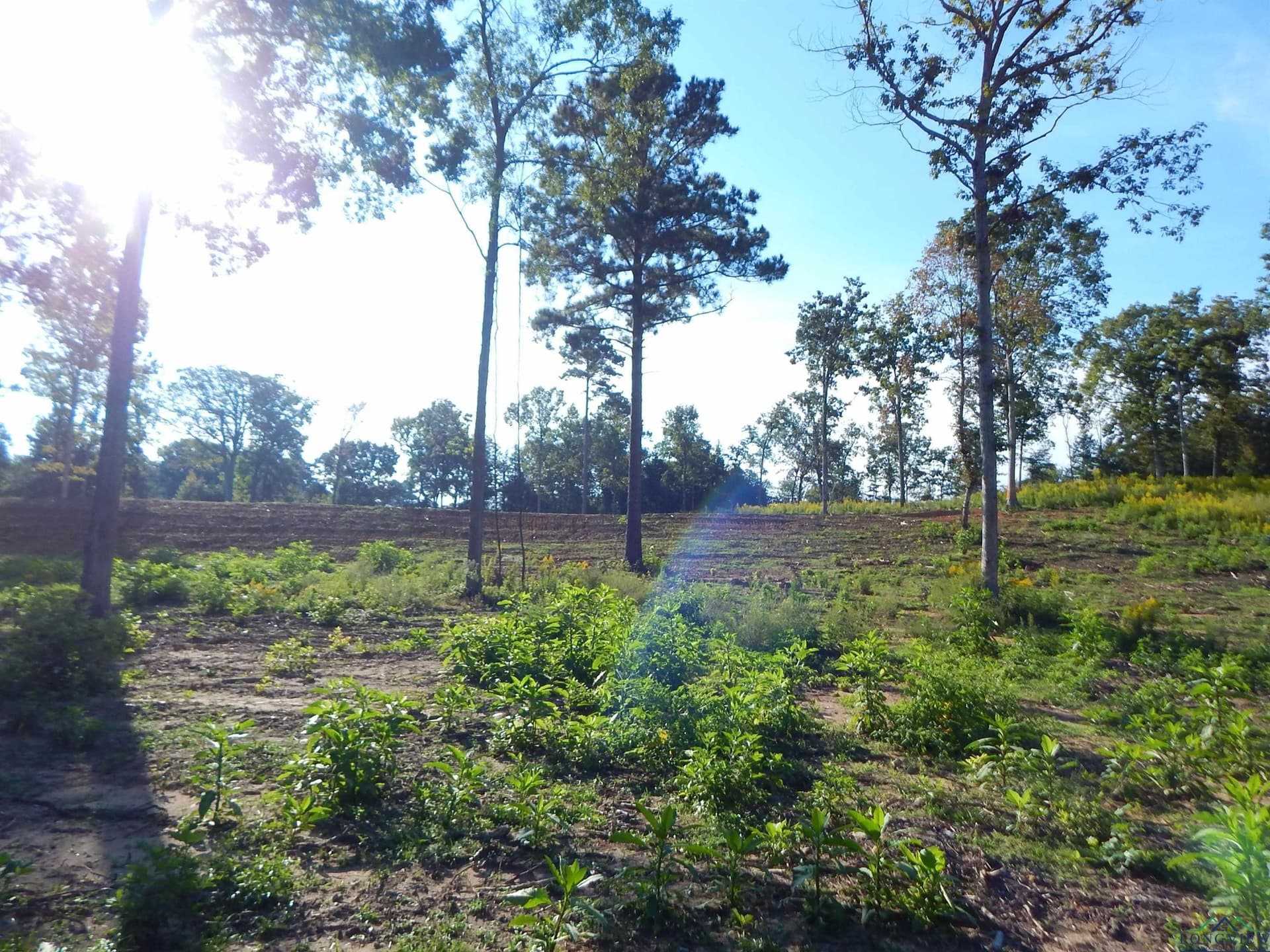 7.57 acres in Upshur County - photo 17