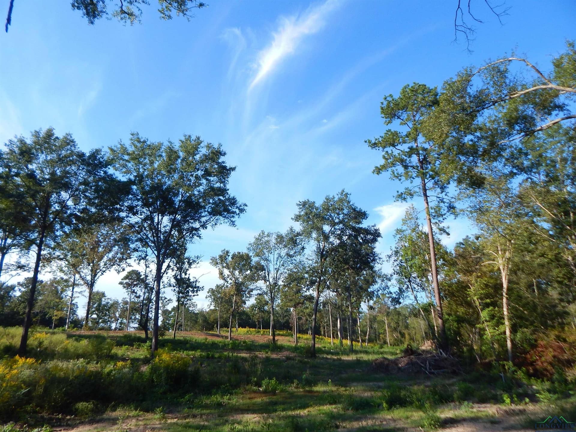 7.57 acres in Upshur County - photo 20