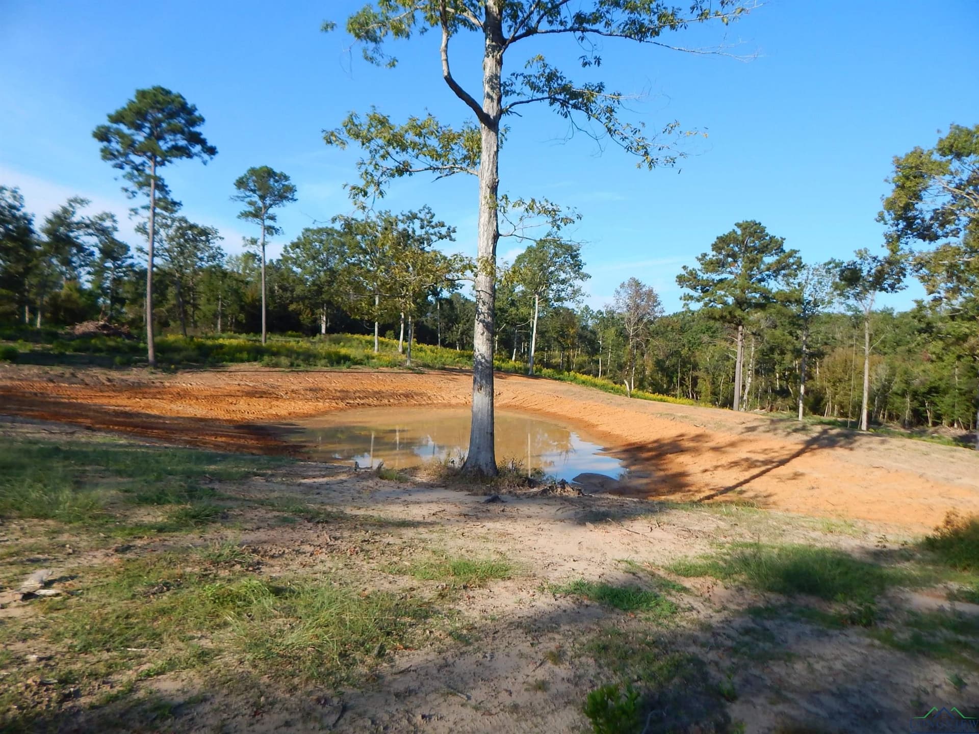 7.57 acres in Upshur County - photo 5