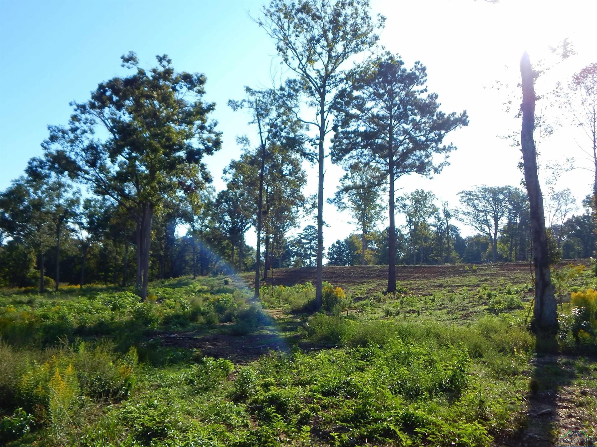 7.57 acres in Upshur County - photo 15