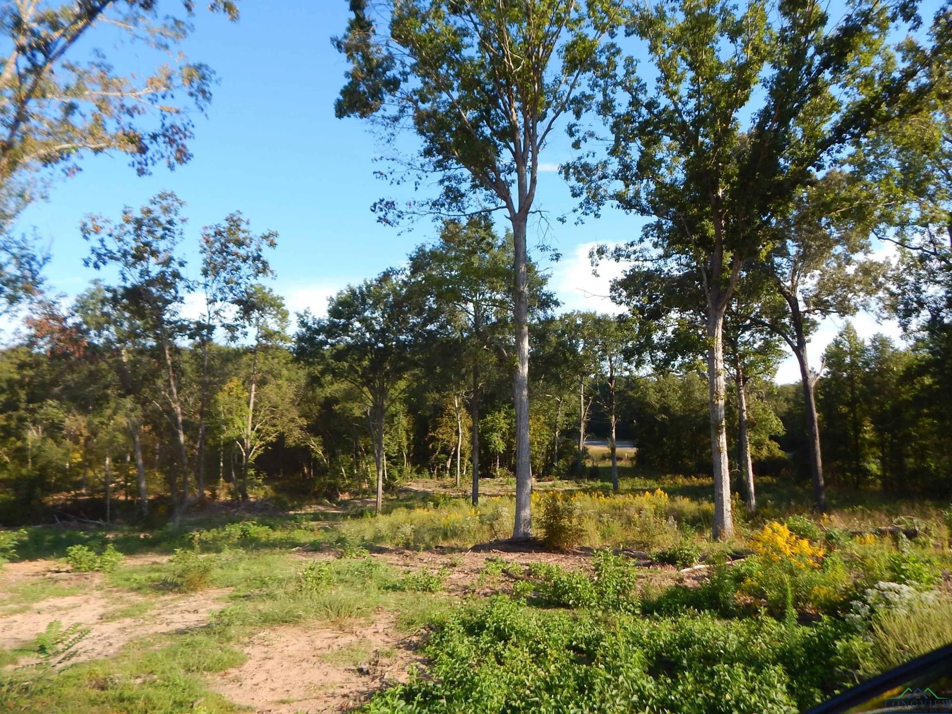 7.57 acres in Upshur County - photo 9