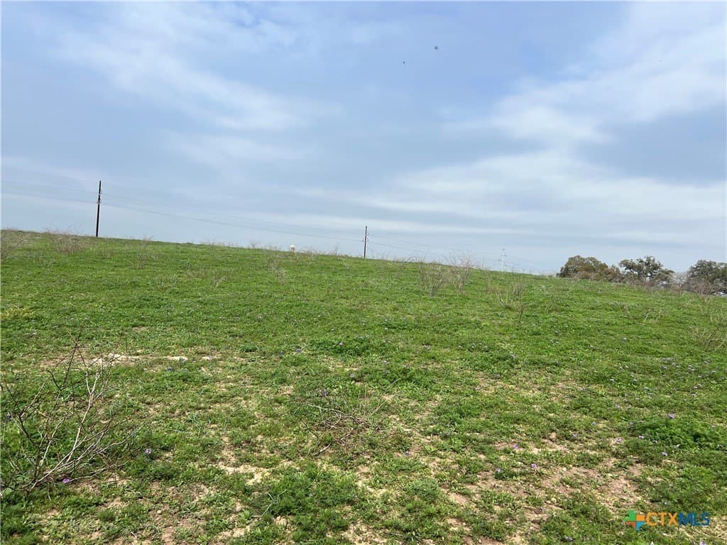 20 acres in DeWitt County - photo 15