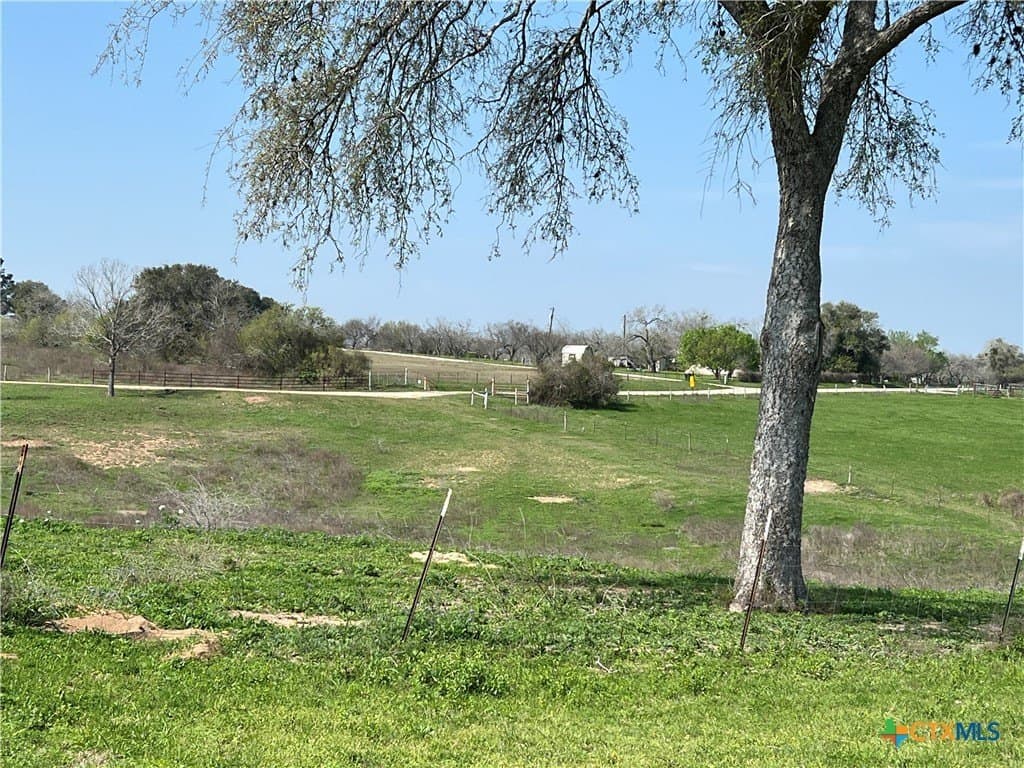 20 acres in DeWitt County - photo 11
