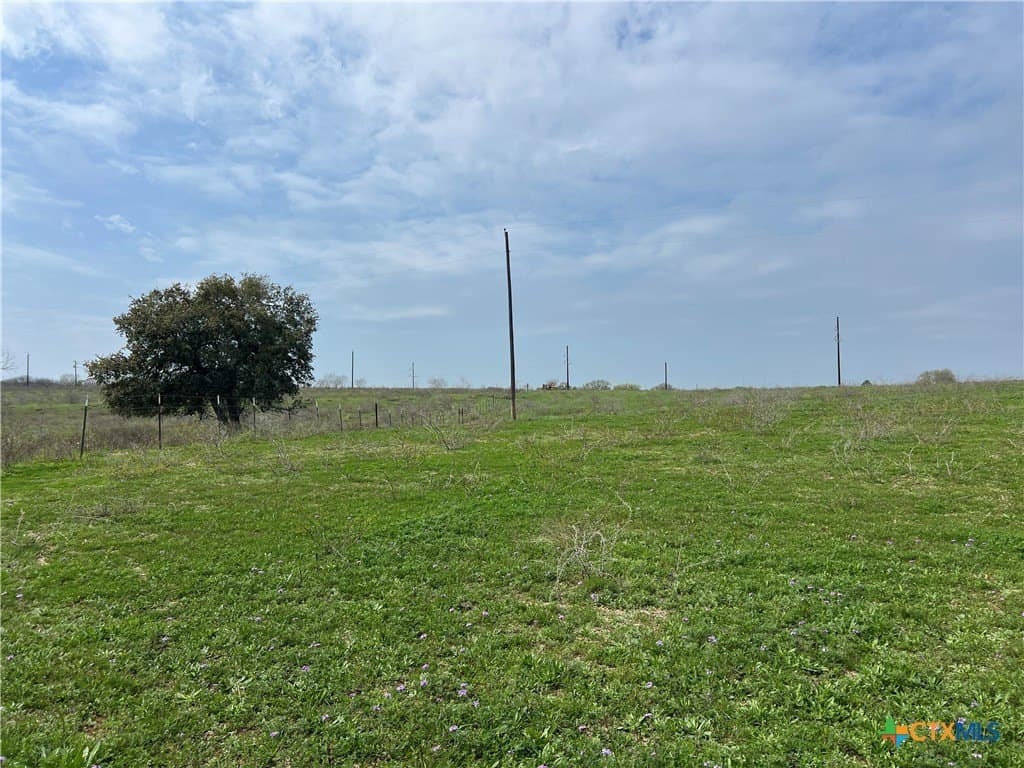 20 acres in DeWitt County - photo 16