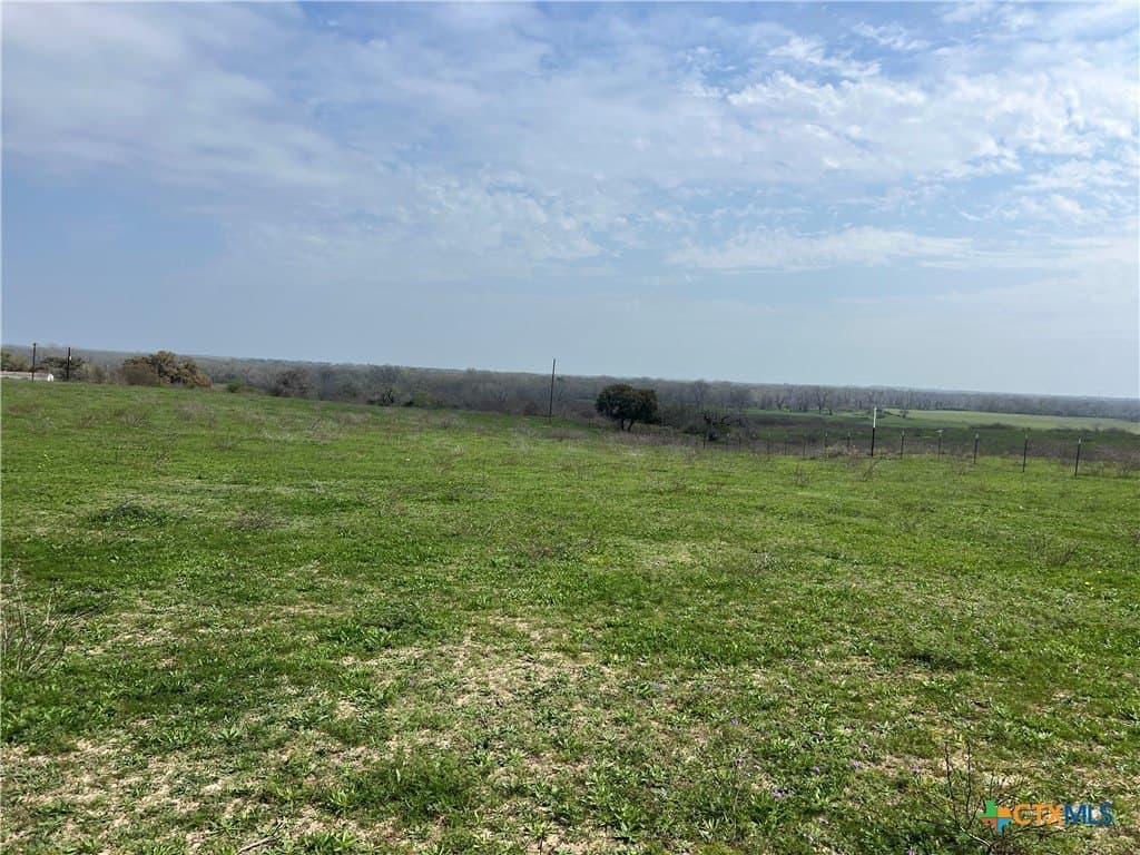 20 acres in DeWitt County - photo 13