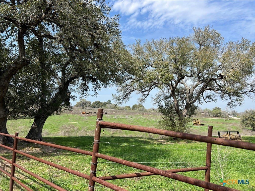 20 acres in DeWitt County - photo 9
