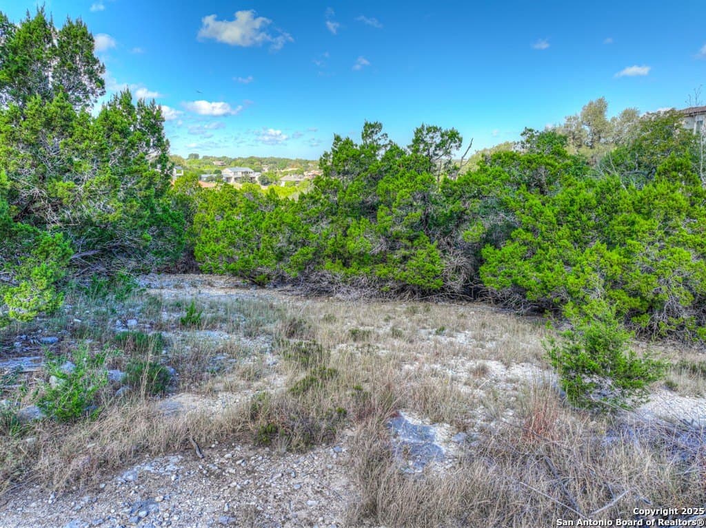 1.35 acres in Comal County - photo 25