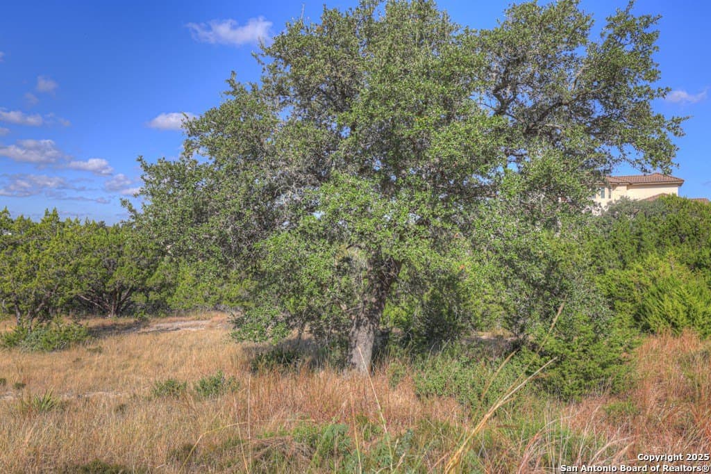 1.35 acres in Comal County - photo 8