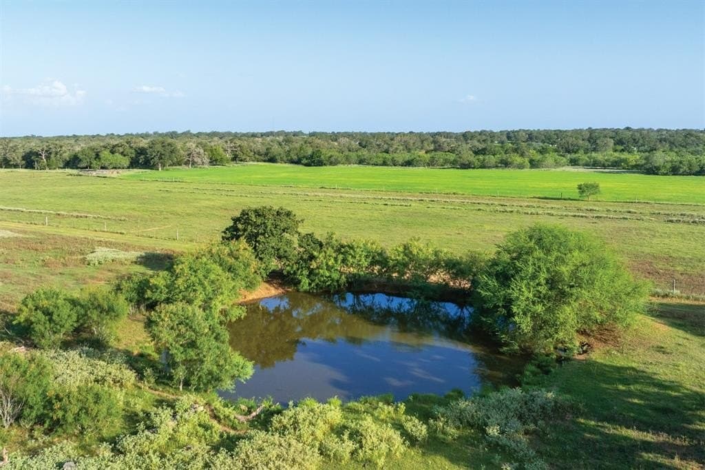 92 acres in Guadalupe County - photo 6