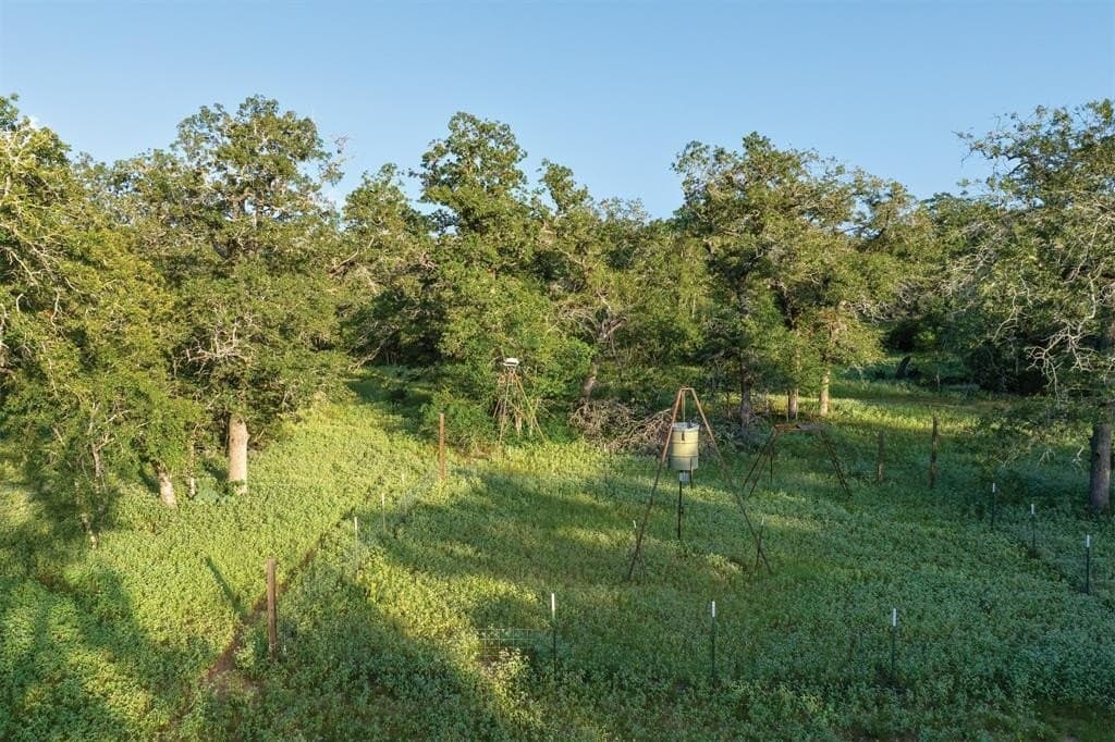 92 acres in Guadalupe County - photo 9