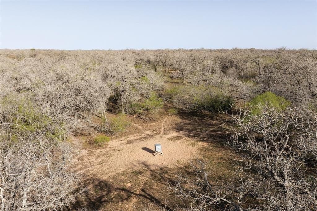 92 acres in Guadalupe County - photo 36