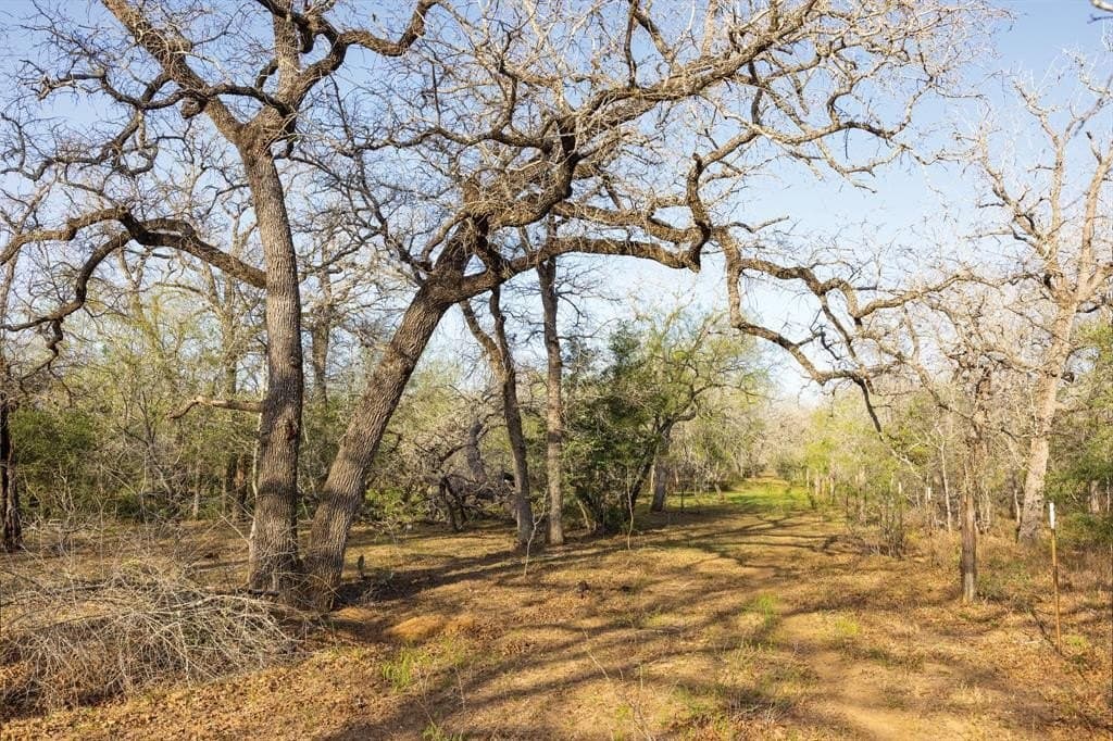 92 acres in Guadalupe County - photo 39