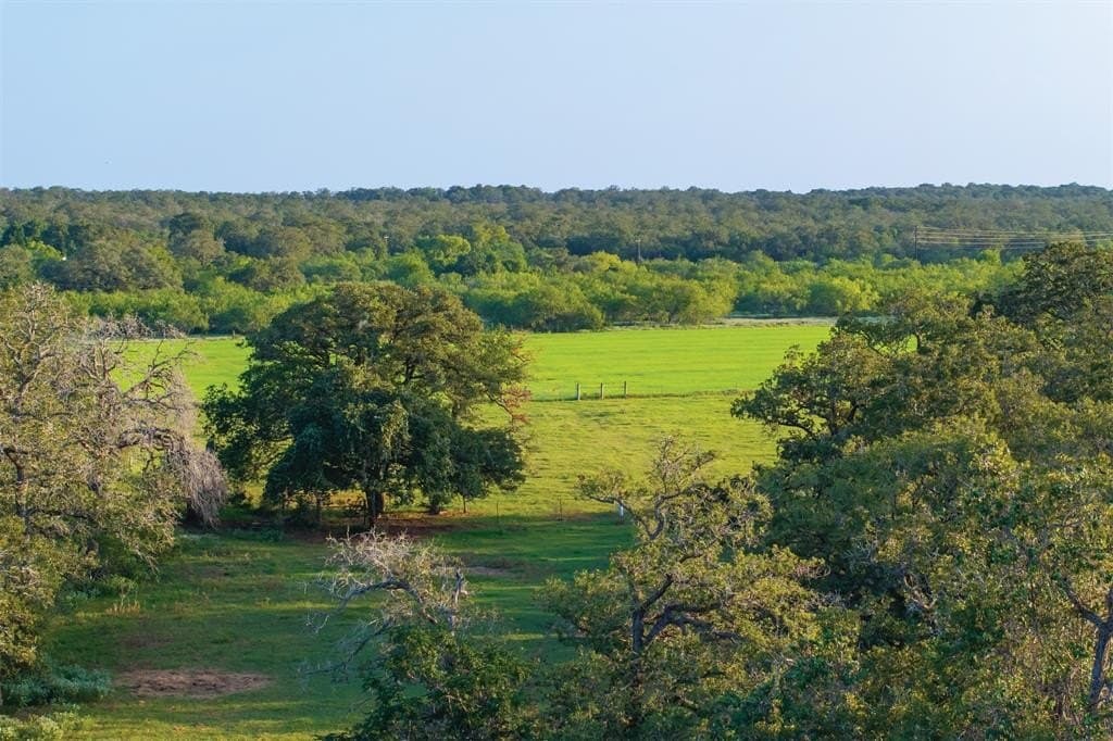 92 acres in Guadalupe County - photo 10