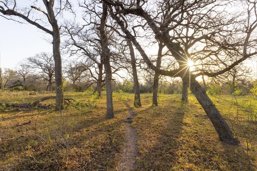 92 acres in Guadalupe County - photo 17