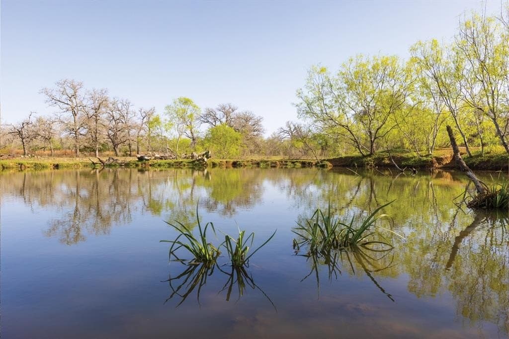 92 acres in Guadalupe County - photo 16