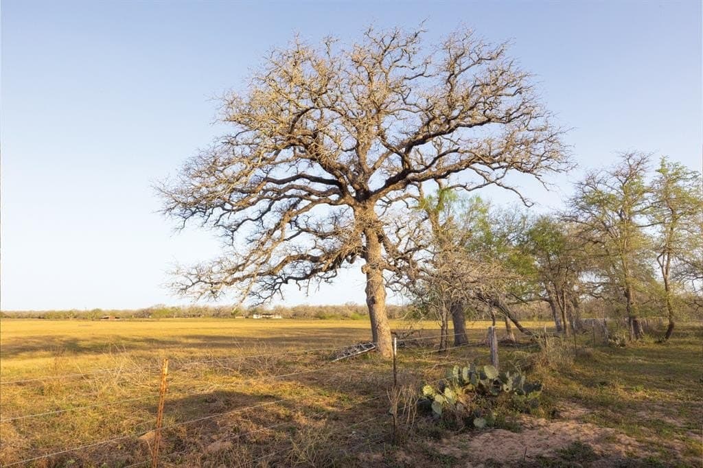92 acres in Guadalupe County - photo 18