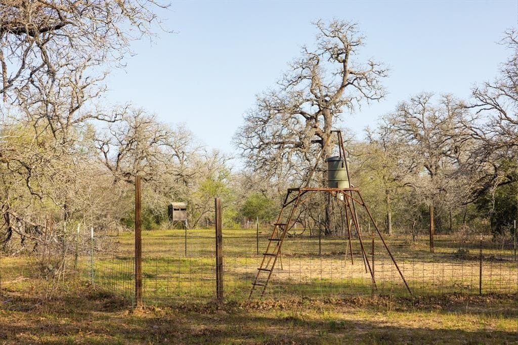 92 acres in Guadalupe County - photo 40