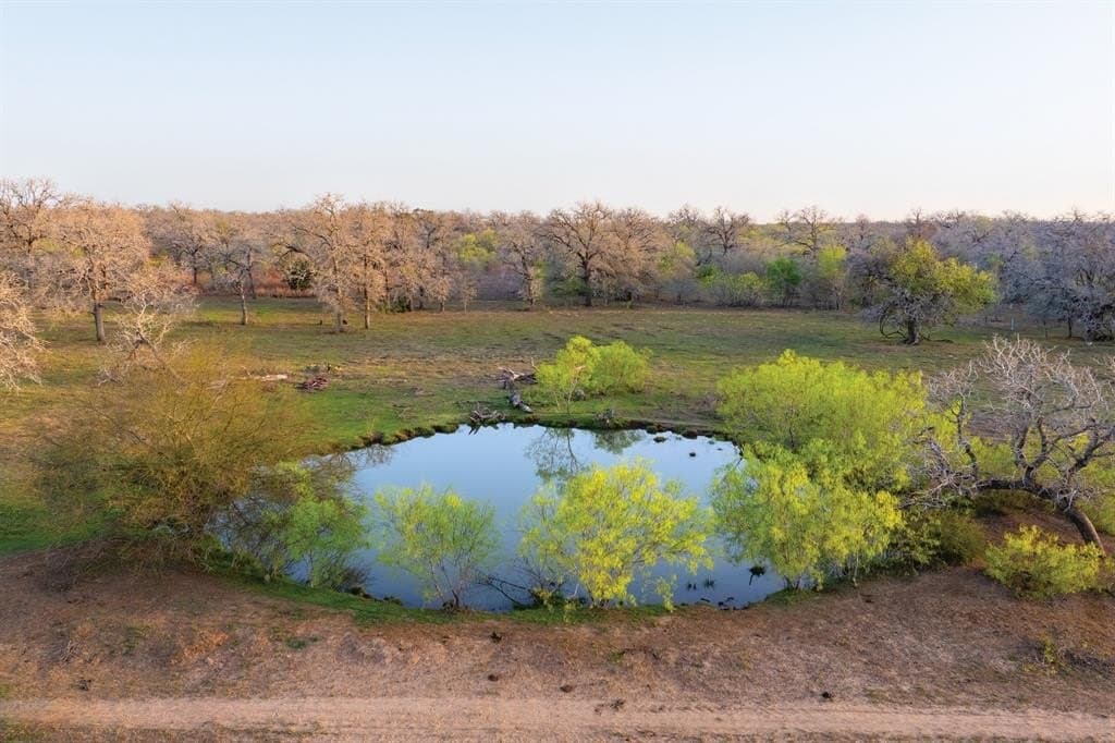 92 acres in Guadalupe County - photo 34