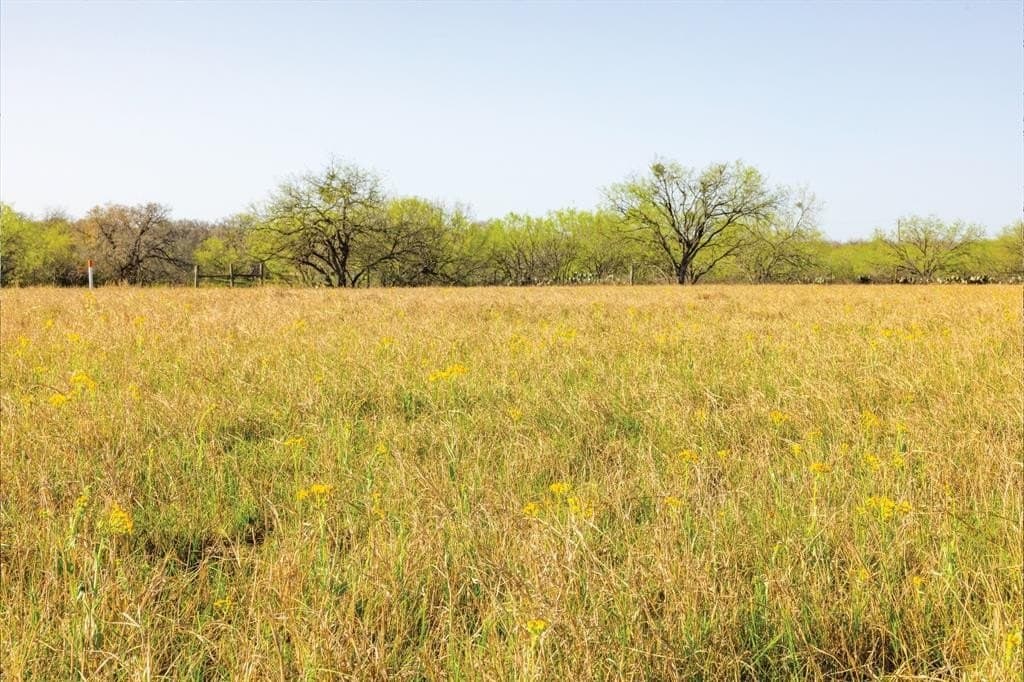 92 acres in Guadalupe County - photo 37