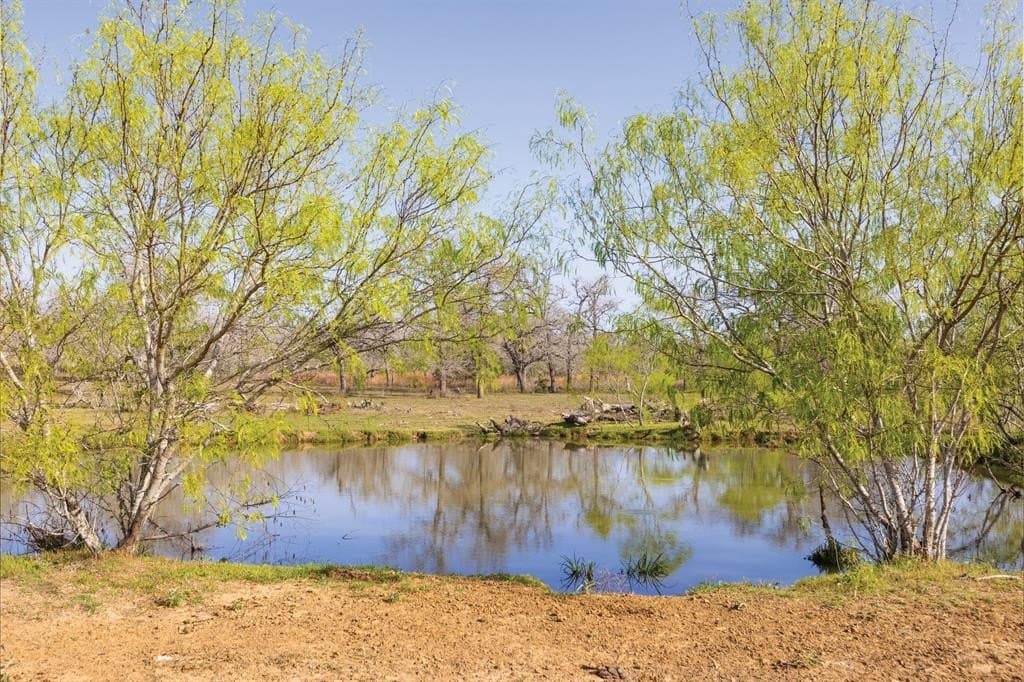 92 acres in Guadalupe County - photo 33