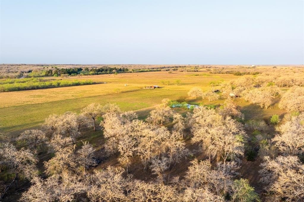 92 acres in Guadalupe County - photo 14