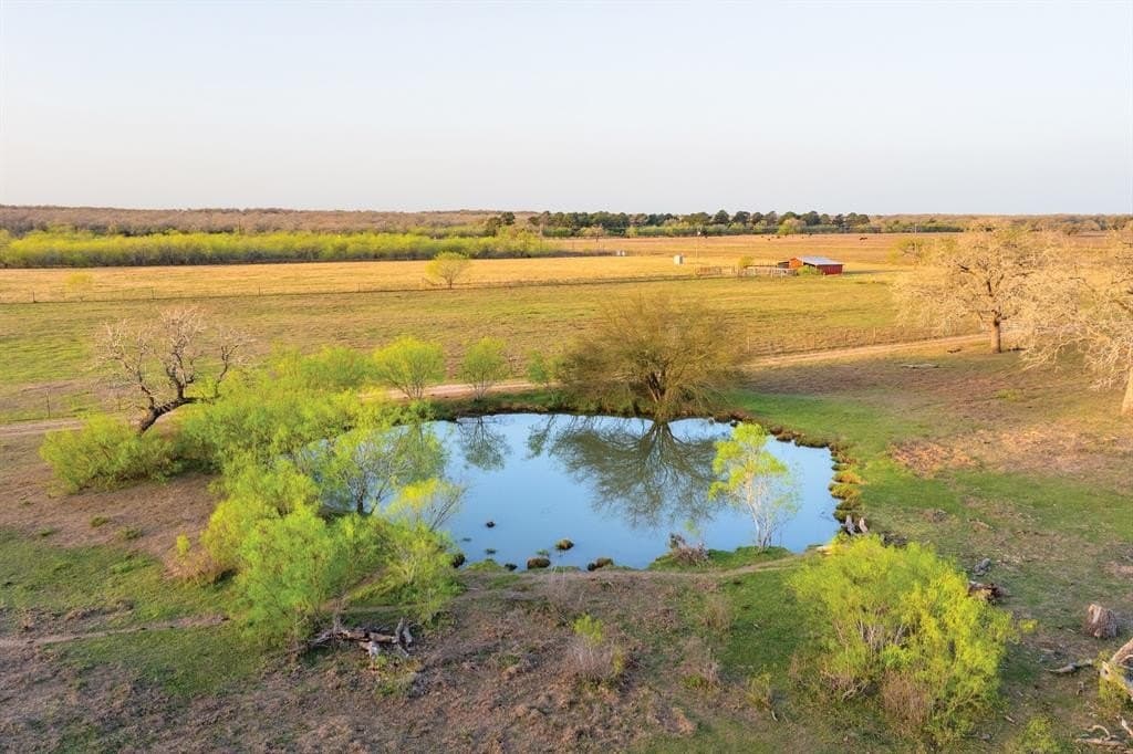 92 acres in Guadalupe County - photo 35