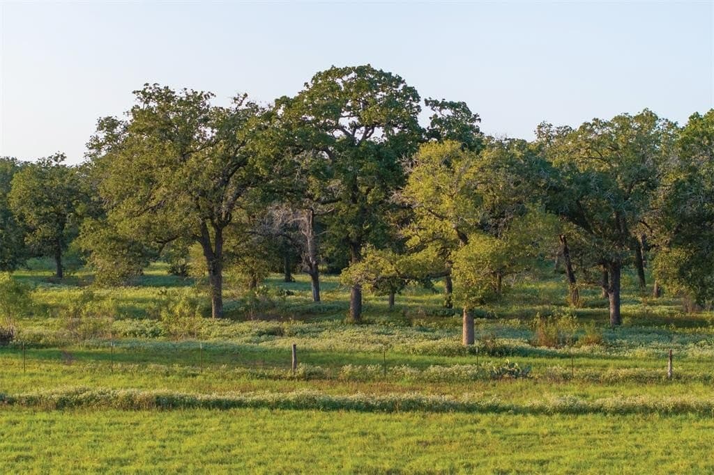 92 acres in Guadalupe County - photo 11
