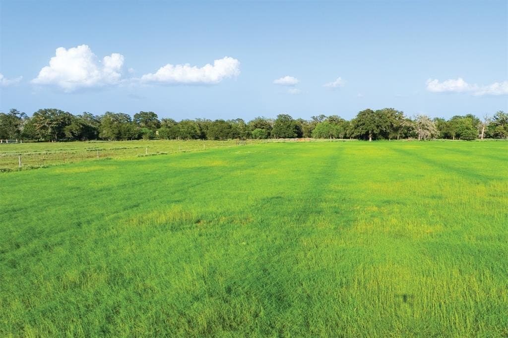 92 acres in Guadalupe County - photo 5