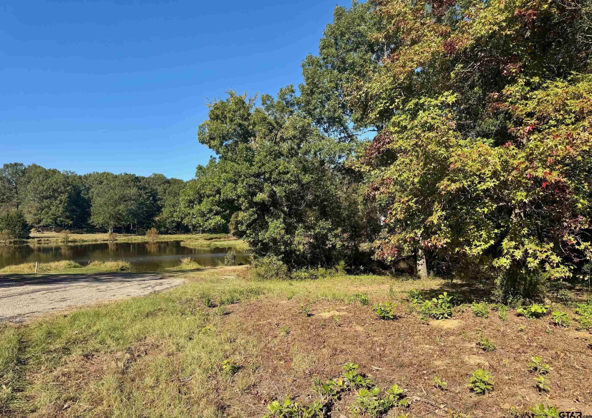 Lot 18 County Road 1216